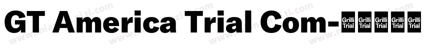 GT America Trial Com字体转换